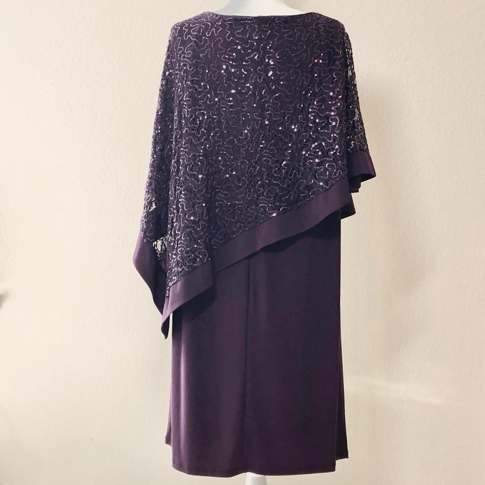 R&M Richards Lace Dress - Picture 4 of 8